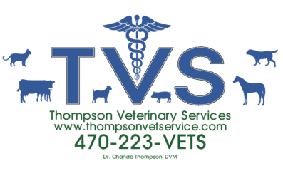 thompson veterinary services