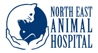 north east animal hospital