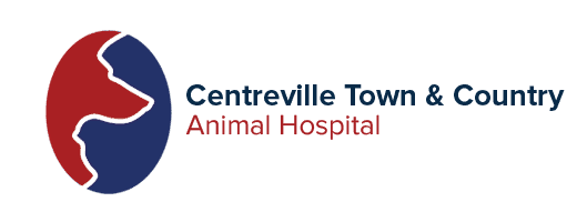 town & country animal hospital - centreville (md 21617)