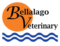 bellalago veterinary hospital