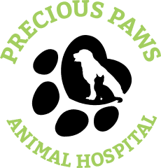 precious paws animal hospital