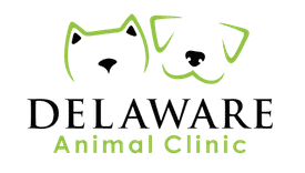 delaware animal clinic – beaumont (tx 77706)