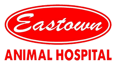 eastown animal hospital
