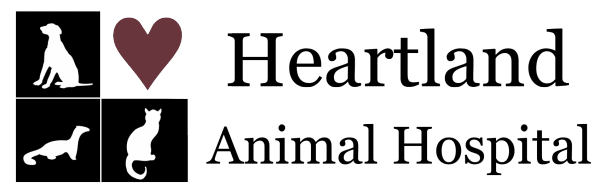 heartland animal hospital - des moines (ia 50311)