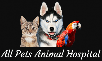 all pets animal hospital