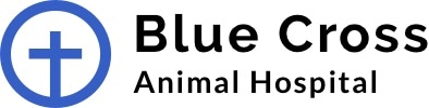 blue cross animal hospital