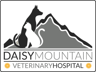 daisy mountain veterinary hospital