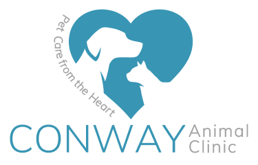 conway animal clinic
