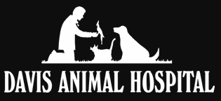 davis animal hospital