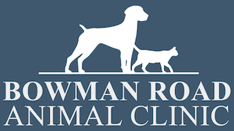 bowman road animal clinic