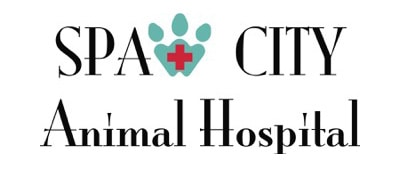 spaw city animal hospital