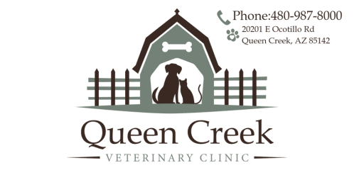 queen creek veterinary clinic