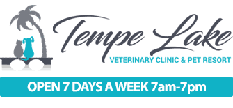tempe lake veterinary clinic & pet resort