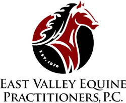east valley equine practitioners
