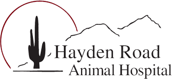 hayden road animal hospital