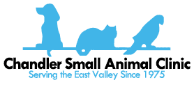 chandler small animal clinic