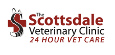24 hour emergency vet