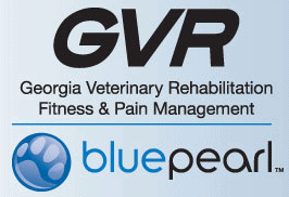 ga veterinary rehabilitation
