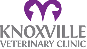 knoxville veterinary clinic