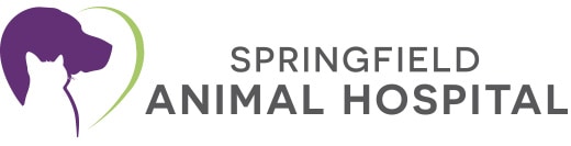 springfield animal hospital