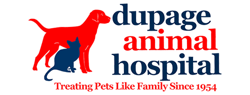 dupage animal hospital
