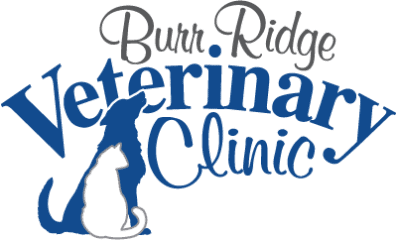 burr ridge veterinary clinic