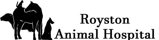 royston animal hospital