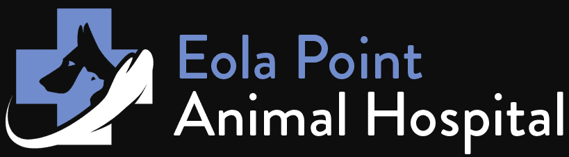 eola point animal hospital