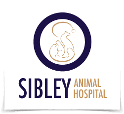 sibley animal hospital