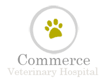commerce veterinary hospital
