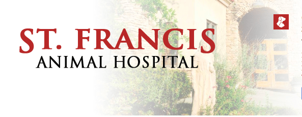 st francis animal hospital
