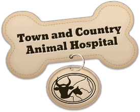 town & country animal hospital - mt airy (ga 30563)