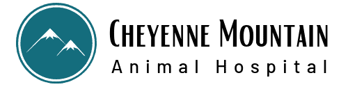 cheyenne mountain animal hospital