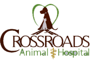 crossroads animal hospital