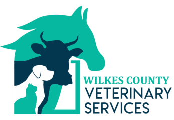 wilkes county veterinary services