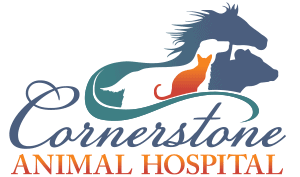 cornerstone animal hospital - alto (ga 30510)