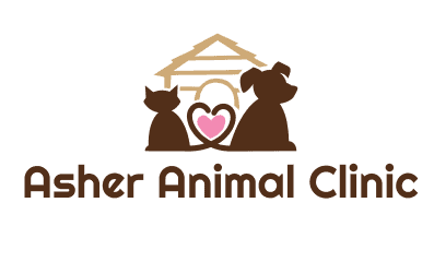 asher animal clinic