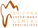 arizona veterinary dental specialists