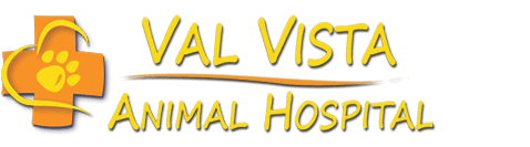 val vista animal hospital