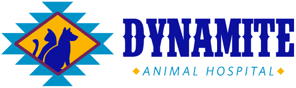 dynamite animal hospital
