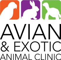 avian & exotic animal clinic - mesa (az 85204)