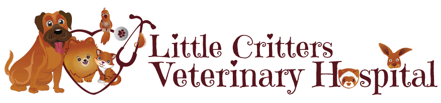 little critters veterinary hospital