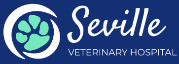 seville veterinary hospital