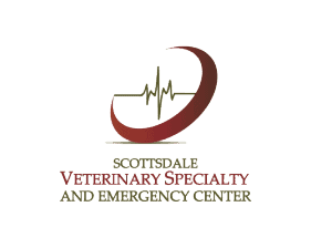 scottsdale veterinary specialists and emergency center