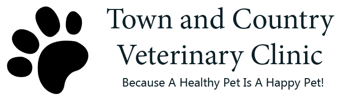 town and country veterinary clinic