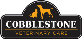 cobblestone veterinary care