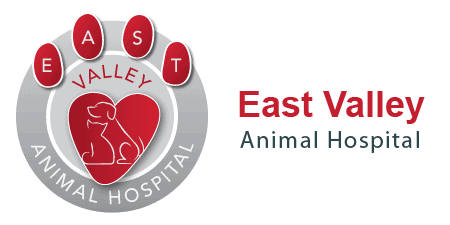 east valley animal hospital