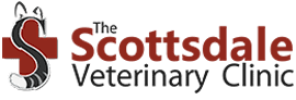 the scottsdale veterinary clinic