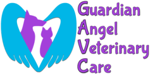 guardian angel veterinary care