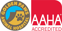 golden paws animal hospital